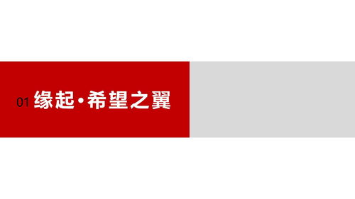 引領(lǐng)行業(yè)發(fā)展，彰顯卓越實力——企業(yè)形象宣傳片策劃方案